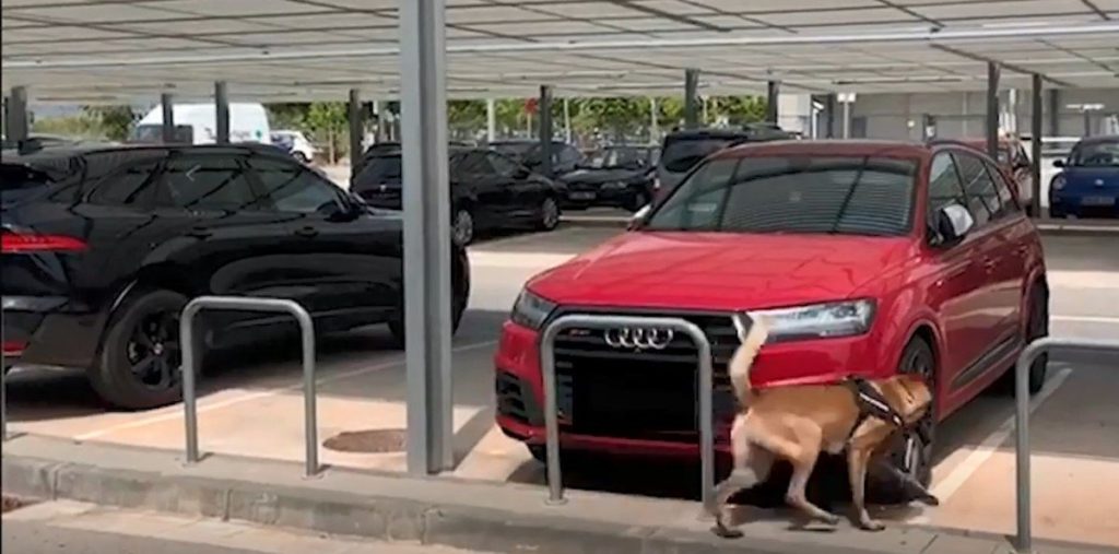 Amenaza de bomba en los autos de Messi y Suárez