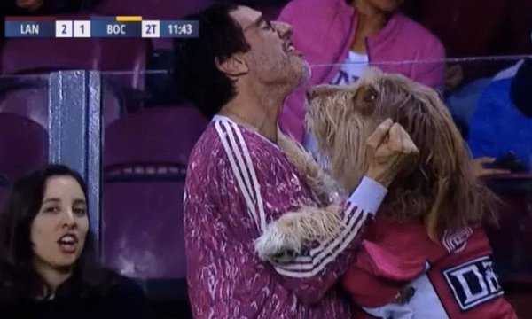 Viral: Hincha de Lanús celebró el gol de su equipo a Boca Juniors con su perro en plena tribuna