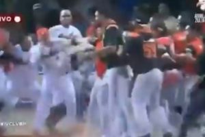 La trifulca que se armó entre peloteros en pleno juego entre Águilas y Caribes