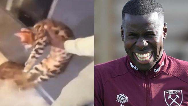 Escándalo por jugador del West Ham pateando como un balón a su gato