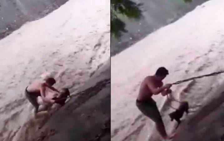 Boxeador arriesga su vida para salvar a un perro en medio de ciclón en Nicaragua