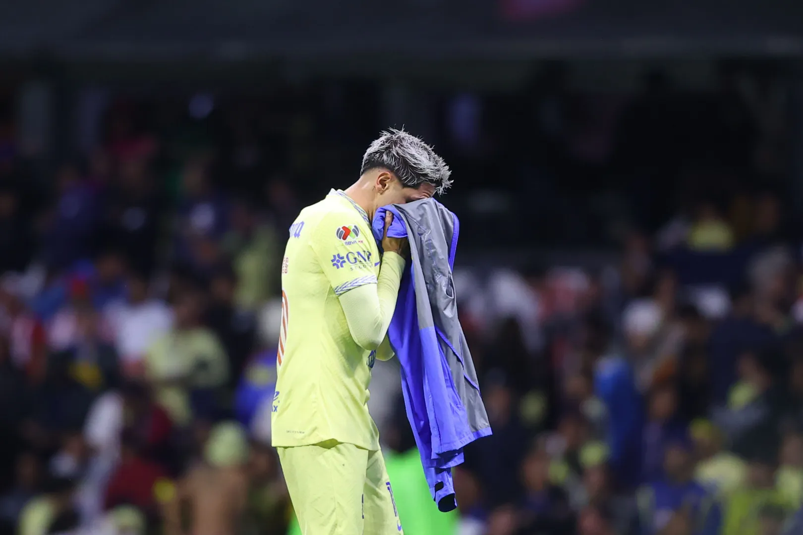 Perrito celebra en vano el “triunfo” de América y se vuelve viral después de que el equipo fue eliminado